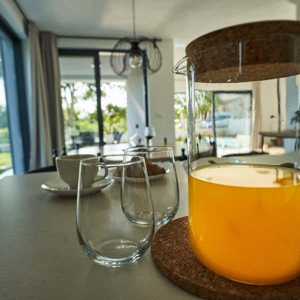 Kitchen, Villa Barbara, Villa Barbara, Poreč, Istria, Croatia Poreč